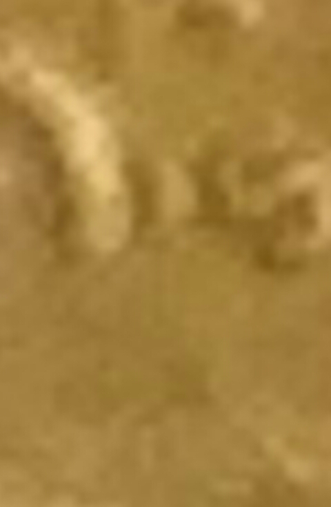 New-Pics..1946-S-Wheat-Cent-RPM?